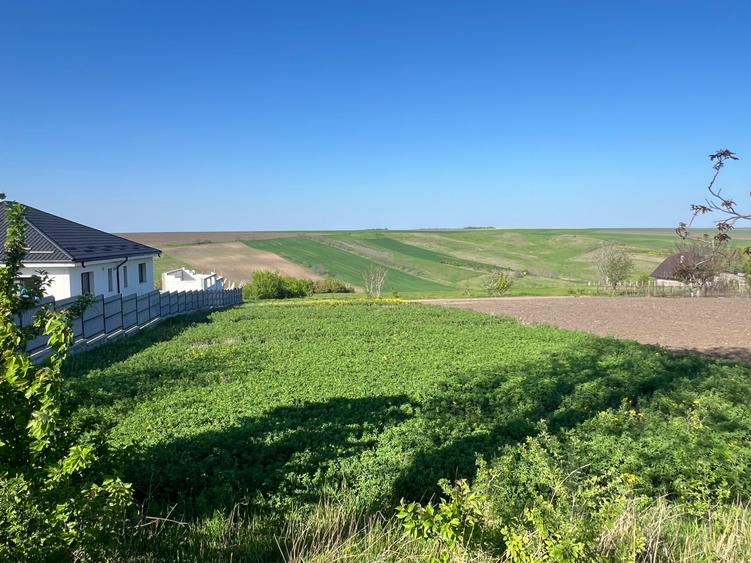 Teren constructie intravilan 1000mp Rediu Horlesti