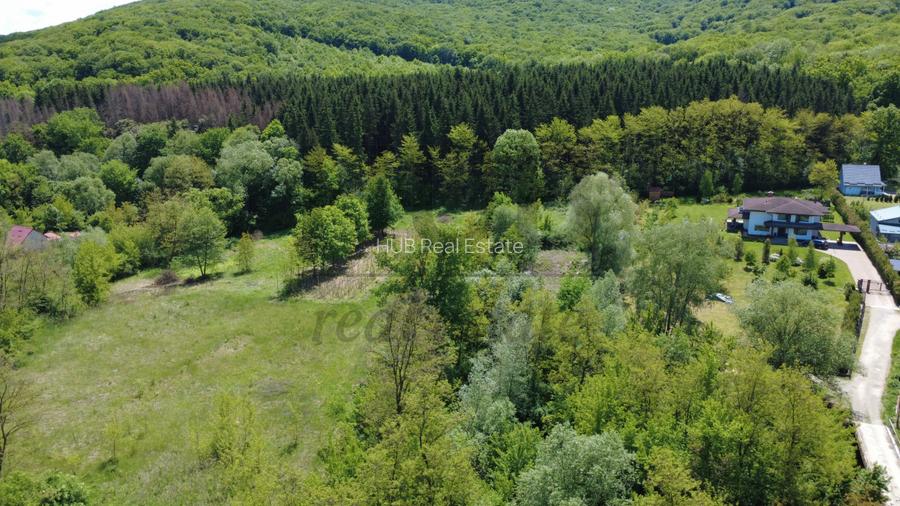Teren intravilan | langa padure si parau | Luncani/Bacau - 6