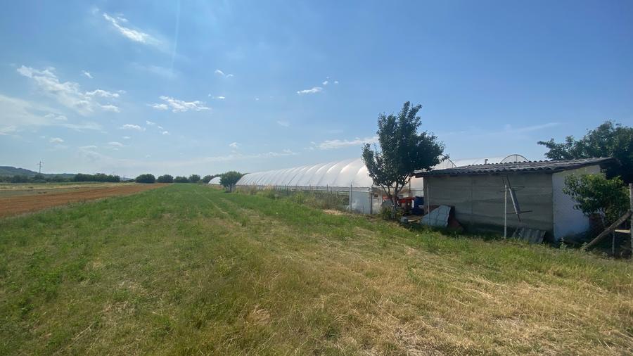 Teren extravilan S= 5000 mp, Udeni-Zavoi, Arges