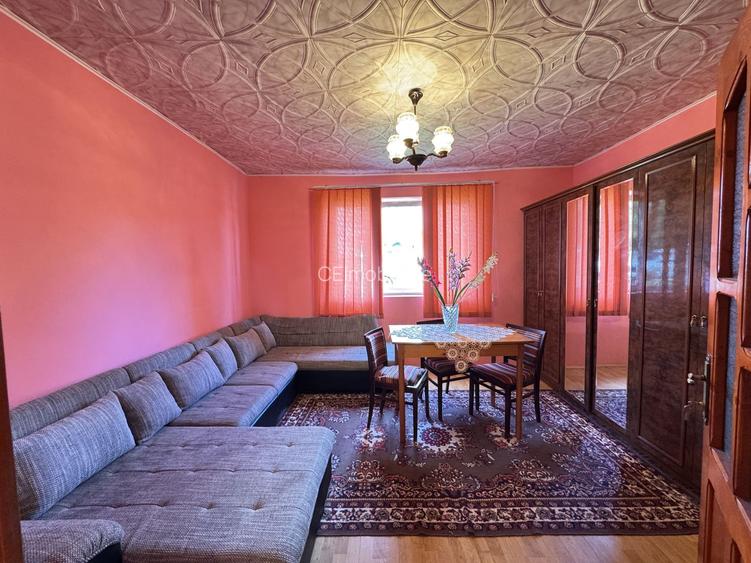 Casa in Lugoj pe Str. Fagetului - 7