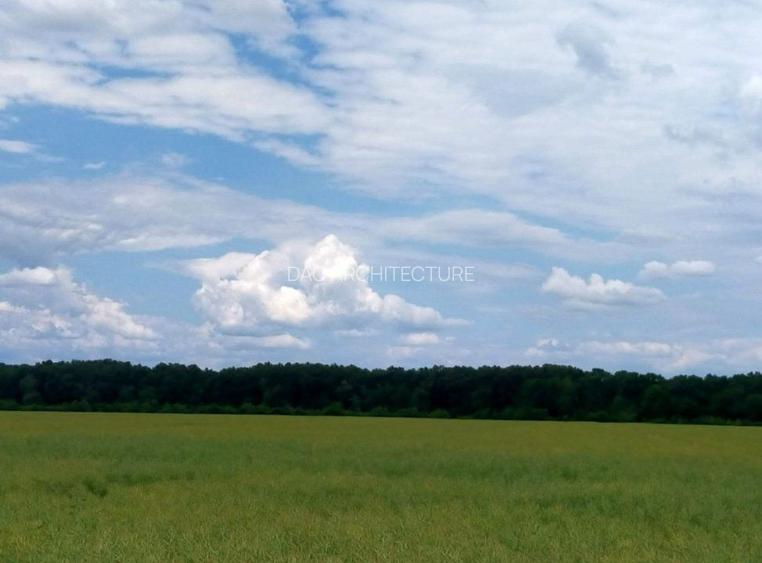 MOARA VLASIEI TEREN 12700 IDEAL INVESTITIE - 4