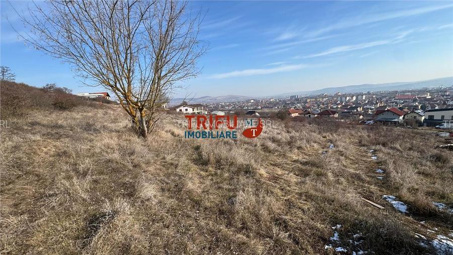 Teren zona Piata Cetate 617mp cu utilitati - 3