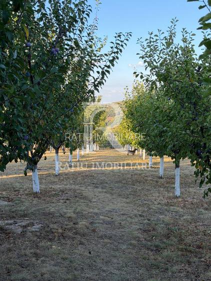 Proprietate premium | Casă și complex turistic la cheie | Cordău - 46