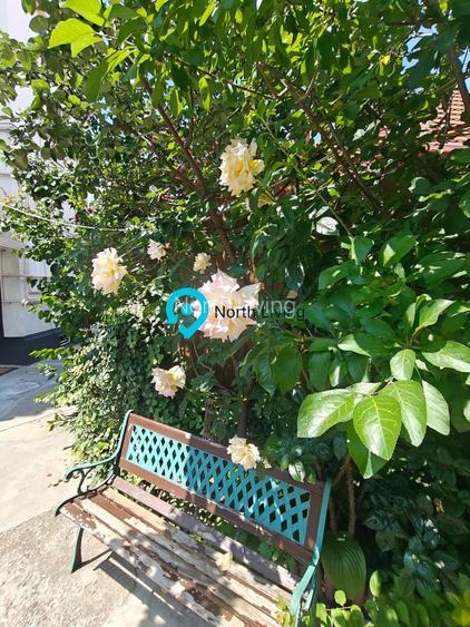 Proprietate rară în Popa Nan – 3 camere | Curte | Gradina - 22