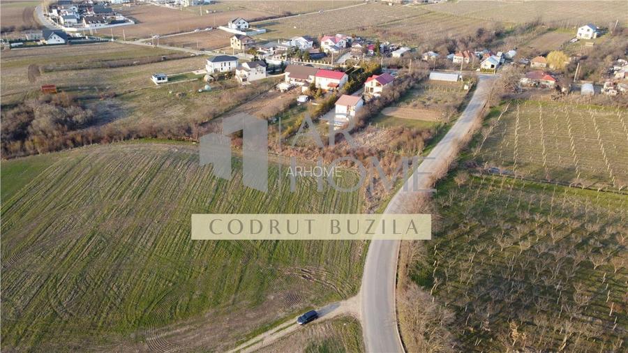 Teren intravilan 2500mp, Bucov - 5