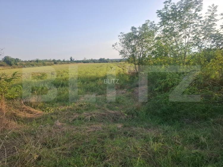 Teren extravilan de vanzare, 5000 mp, zona Viisoara - 4