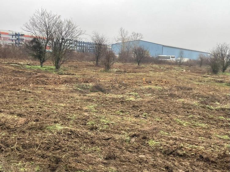 De vinzare teren 5700 mp Clinceni