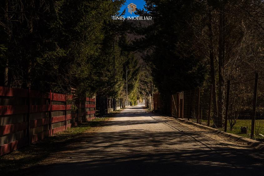 Central - 4 terenuri cu deschidere directa la padure – Poiana Mărului