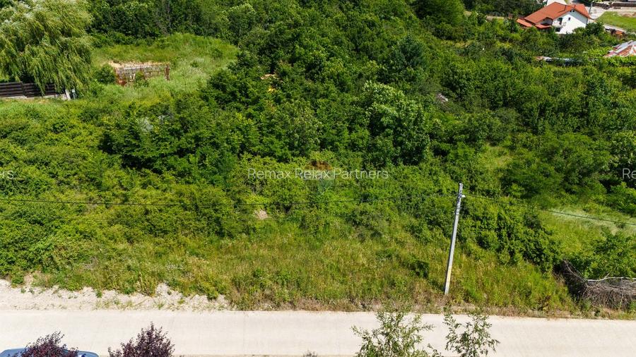 Teren de Vânzare 1450mp la asfalt - Plopii Fără Soț - Bucium, Iași - 5