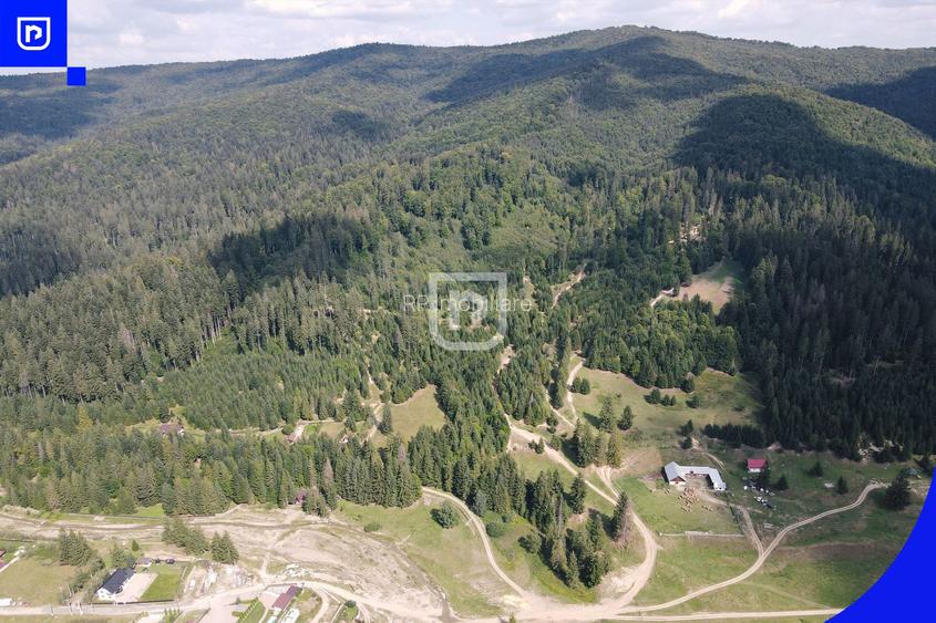 Teren - Voronet | Gura Humorului | BUCOVINA - 10