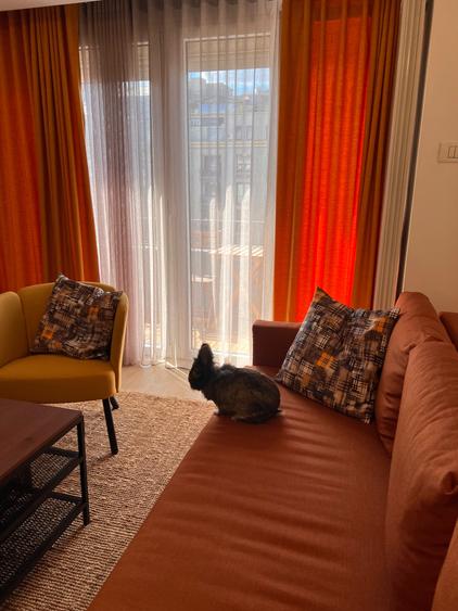 AR5343 - VÂNZARE AIRBNB BUSINESS • DIRECT PROPRIETAR • 0% COMISION