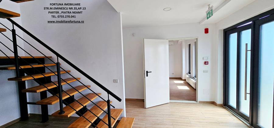 Complex imobiliar:cladire birouri,2 hale noi si 3424mp teren, Piatra Neamt