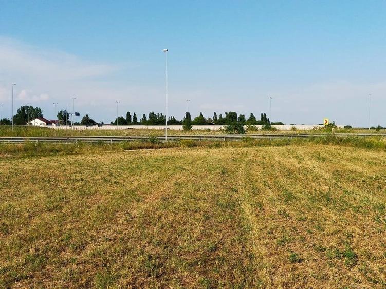 Teren intravilan 2,502mp Moara Vlasiei