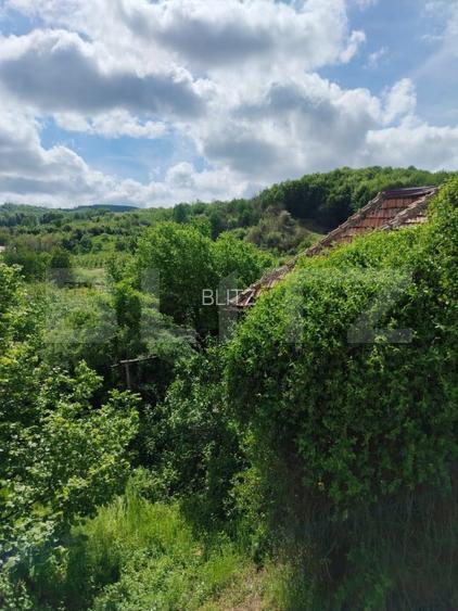 Proprietate cu teren generos 1.500 mp  Casă P+1  Voinesti - 4
