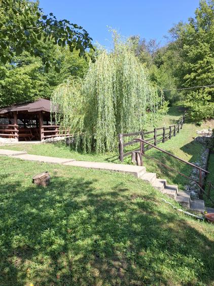 Pensiune agroturistică lângă București | Business funcțional | Iedera de Sus, DB