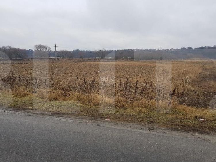Teren extravilan, 4000 mp Jucu, zona Bosch - 3