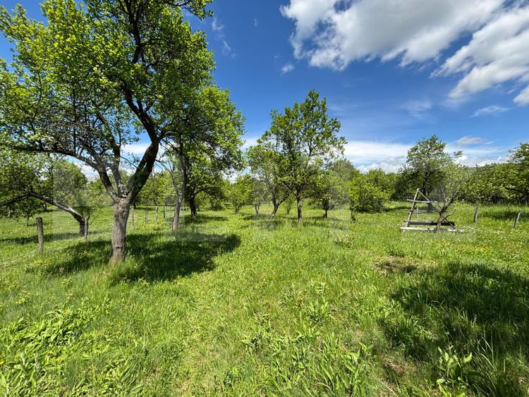 Teren intravilan 4.559 mp, zona Corbi – Corbșori