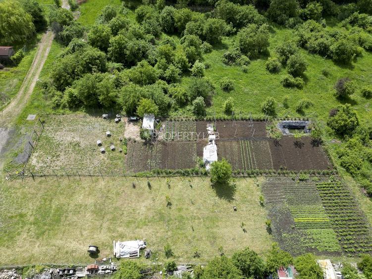 Teren intravilan 906mp în Grădiște - 12