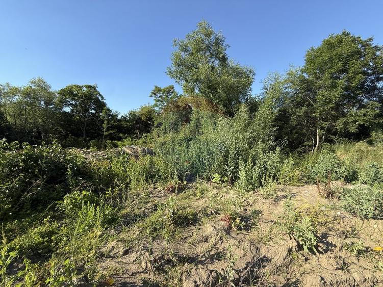 Com 0% Casa veche cu teren intravilan 742 mp, Gheorghieni, Cluj