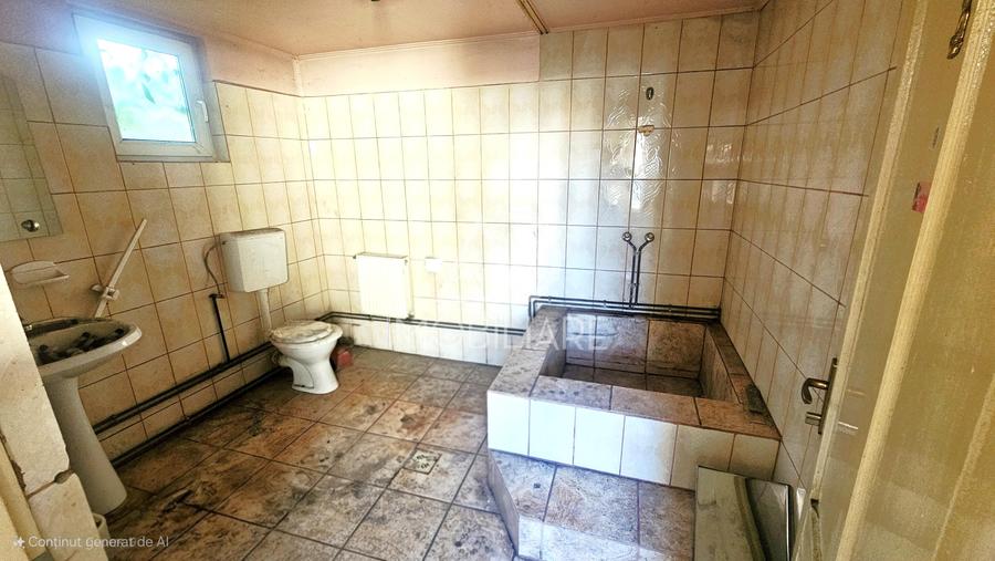 Casa Calea Severinului -la 500 m de Piața centrală - 6