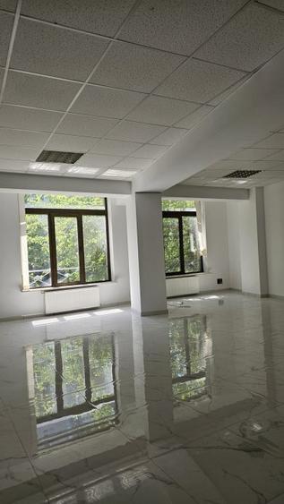 Imobil comercial de inchiriat - Bulevardul Doamna Ghica