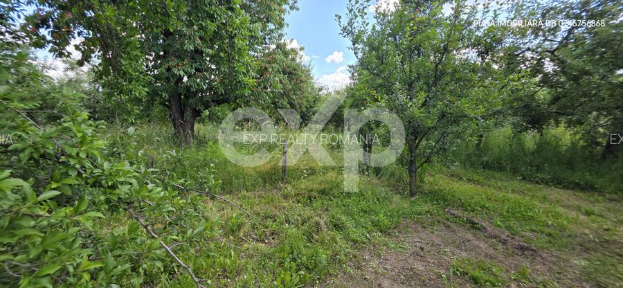 Casă individuală de vânzare, 6 camere, subsol 110 mp, teren 5.753 mp – Cândești - 13