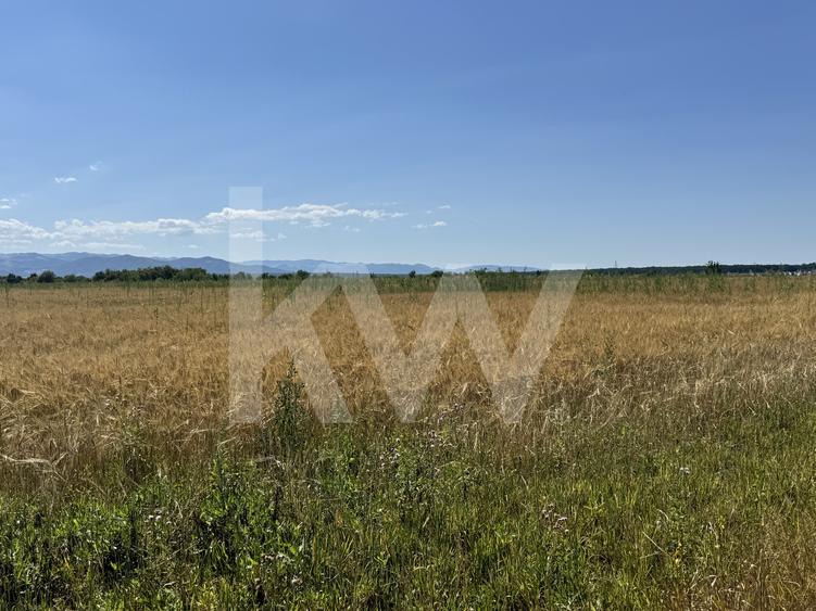 Teren 720 mp Seviș | 23 m front | Oportunitate investiție 24.480€