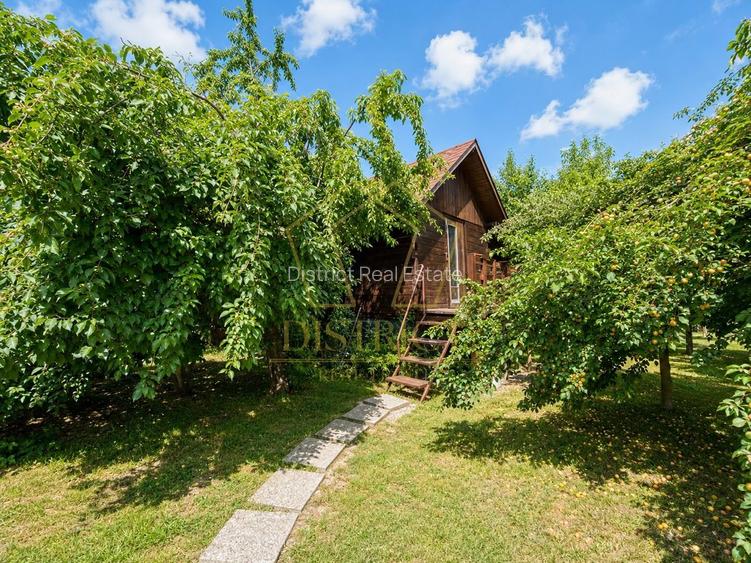 Casa individuala pentru locuit sau activitati comerciale/birou | Braytim - 29