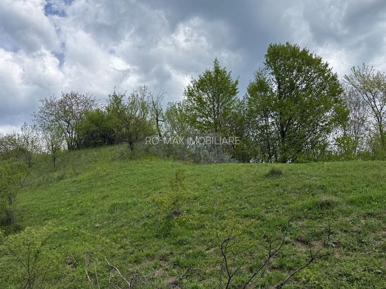 Teren intravilan 2440mp cu autorizație de construire și proiect ! - 15