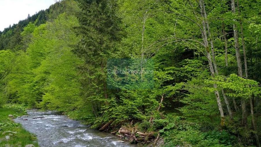 House for sale, 5 Rooms, 180 sqm, Valea Dejani - 7