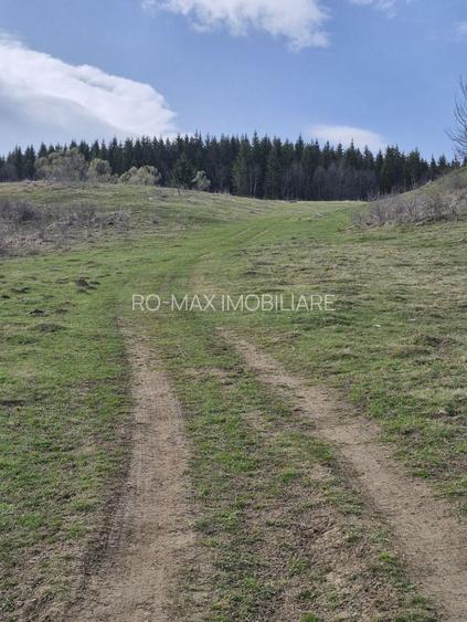 Teren intravilan la baza pădurii Valea Doftanei sat Traisteni (poduri) - 11