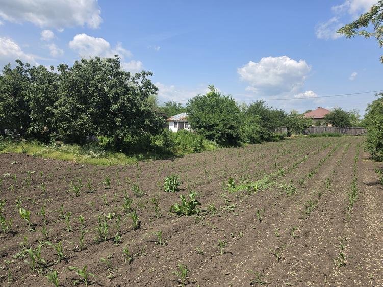 Vanzare casa Lehliu-Comuna Dor Marunt