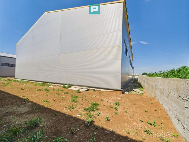 Hală industrială în zona Giarmata – Timiș