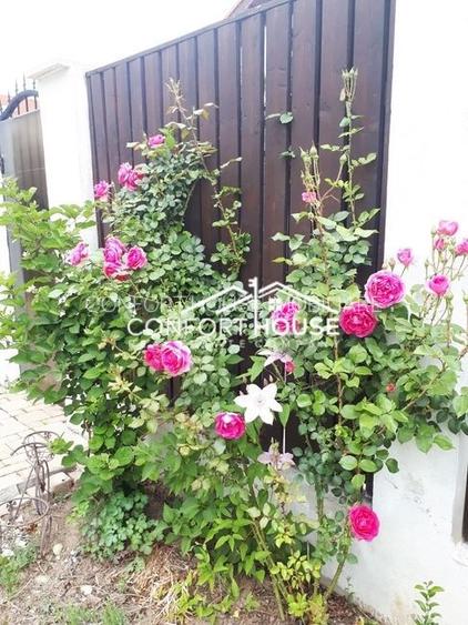 Vila cocheta, 6 camere, 500mp teren, inchiriere, PIPERA-TUNARI - 46