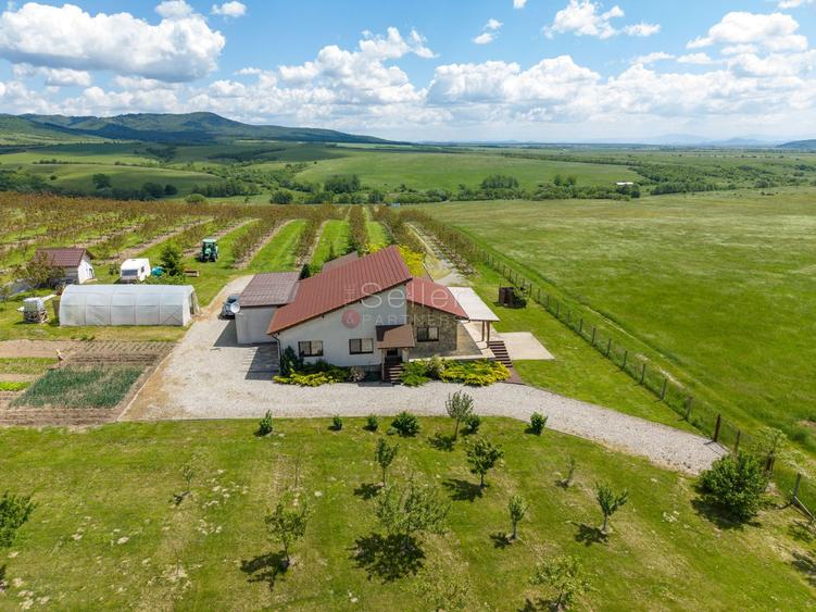 PROPRIETATE CU LIVADA MATURA DE NUCI SI POTENTIAL INVESTITIONAL