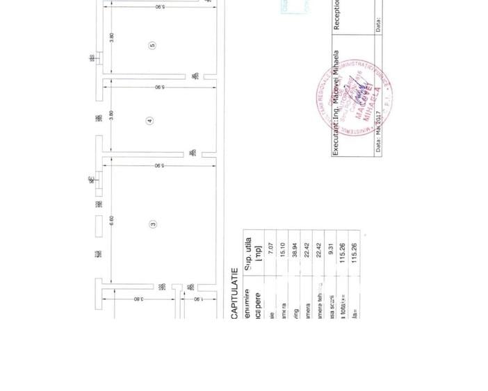 Copou-serv. Cazier Judiciar, casă cu piscină, 320mpU, 915 mp teren - 21