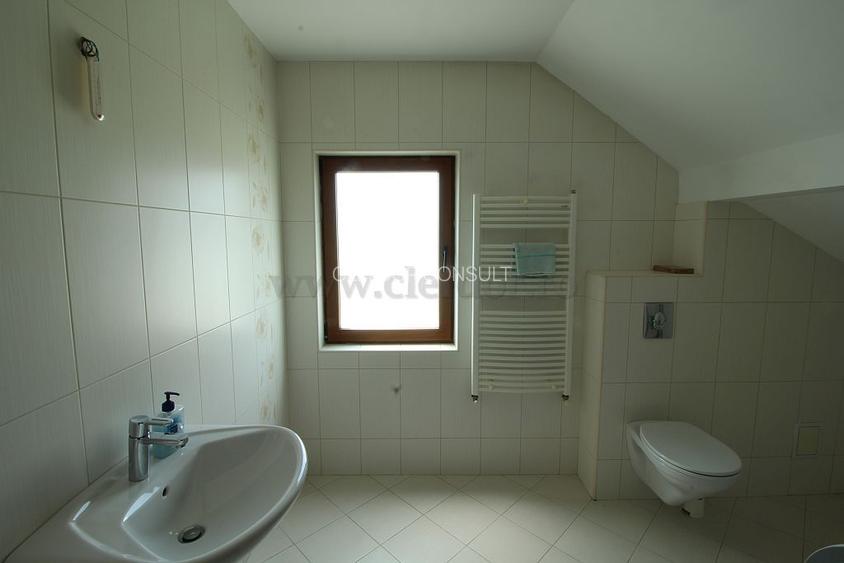 Vila renovata in apropiere de Iancu Nicolae - 16