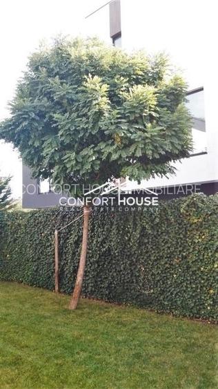 VILA P+E+M, prima inchiriere, garaj, IANCU NICOLAE-JOLIE VILLE - 32