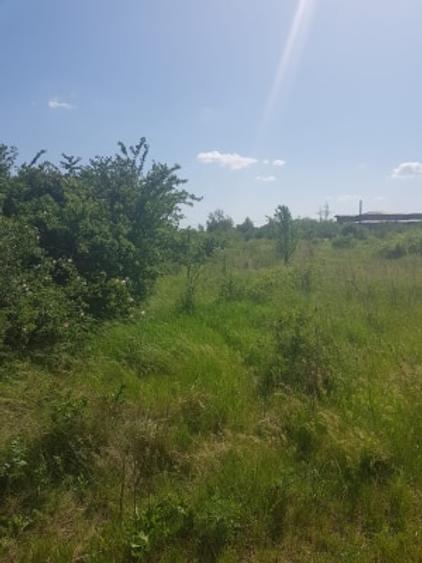 Teren intravilan 2500 mp , deschidere 24 m