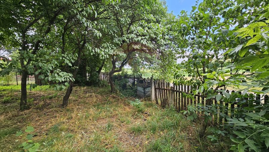 Casa de vânzare cu teren 9200 mp, Pădureni-Șendriceni, Botoșani
