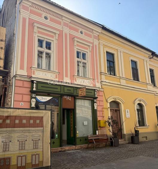 Bijuterie arhitecturală în inima Timișoarei – clădire monument istoric - 7