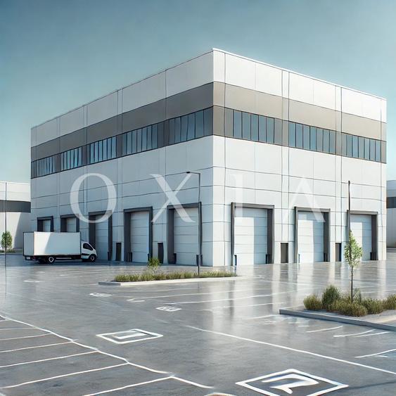AX1132 Calea Sagului, Platforma Industriala, 7.387 MP