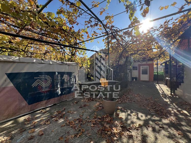 Casa individuala de vanzare, zona Complexul Studentesc Timisoara
