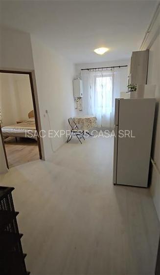 Apartament 1 camera de inchiriat, zona Tudor Vladimirescu - 3