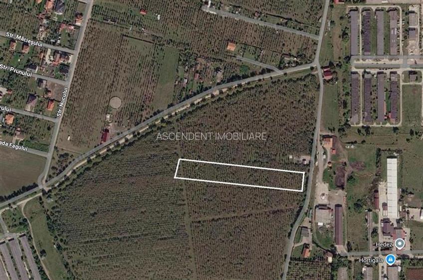 Teren extravilan, 6.510mp, Simeria, Sfantu Gheorghe - 5