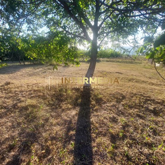Vanzare TEREN Intravilan OARDA de SUS 10.650 mp Front 38 m, Parcelabil Utilitati