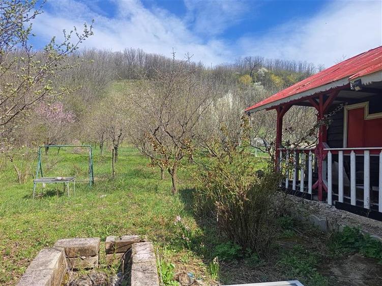 Teren intravilan in Boldesti-Scaeni
