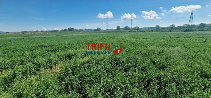 Teren de vanzare zona Soseaua de Centura