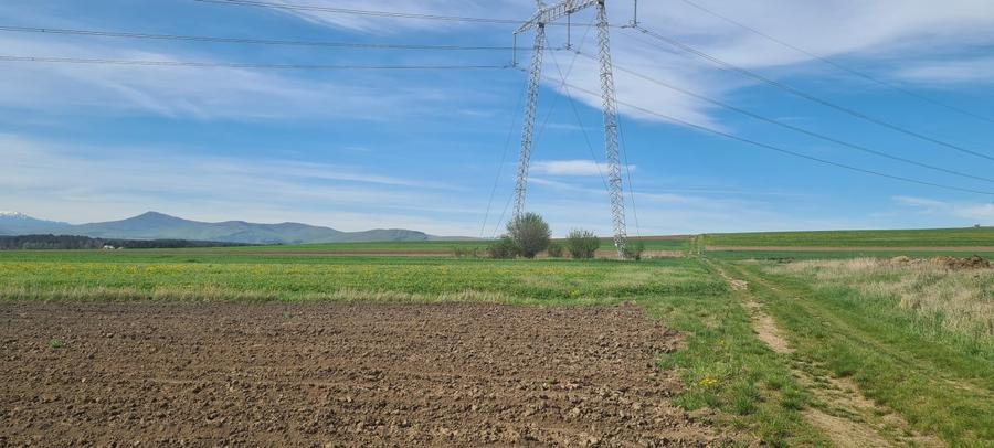 TEREN EXTRAVILAN LANGA FABRICA DE CHERESTEA Holzindustrie Schweighofer - RECI