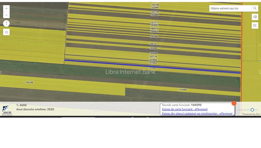 Vanzare teren agricol Jud Constanta - 2